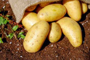 Potatoes Vegetable